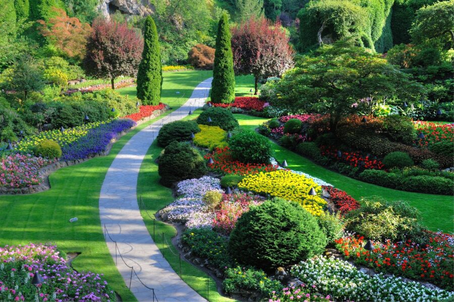 u57674p 900x599 - Garden with many flowers and trees - tegory