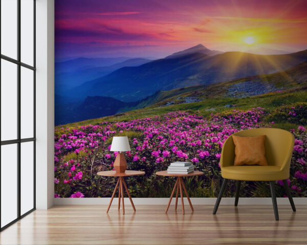 Field of flowers with the sun setting behind it u57337pig3 600x480 - Field of flowers with the sun setting behind it - tegory