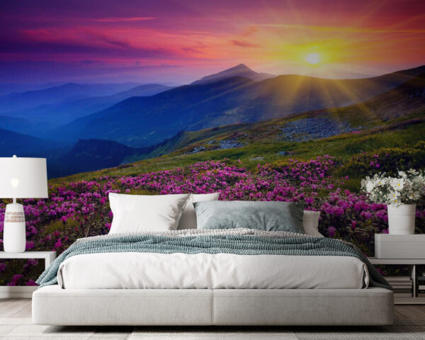 Field of flowers with the sun setting behind it u57337pib105 600x480 - Field of flowers with the sun setting behind it - tegory