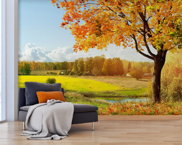 Tree with orange leaves in a field u57294pig25 600x480 - Tree with orange leaves in a field - tegory