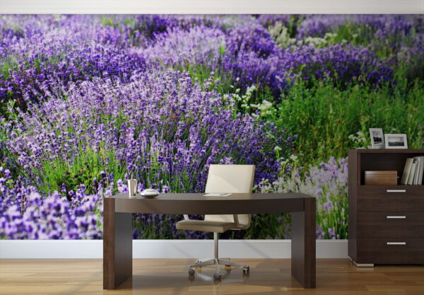 Field of purple flowers u57293piw1 600x417 - Field of purple flowers - tegory