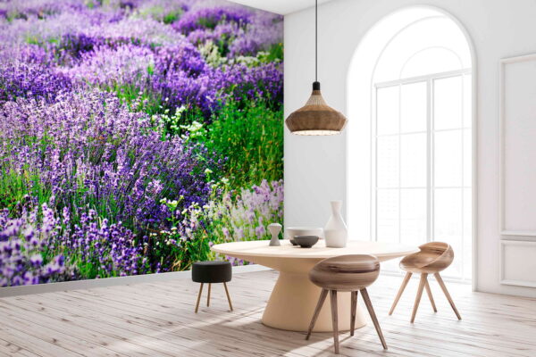 Field of purple flowers u57293pik1m 600x400 - Field of purple flowers - tegory