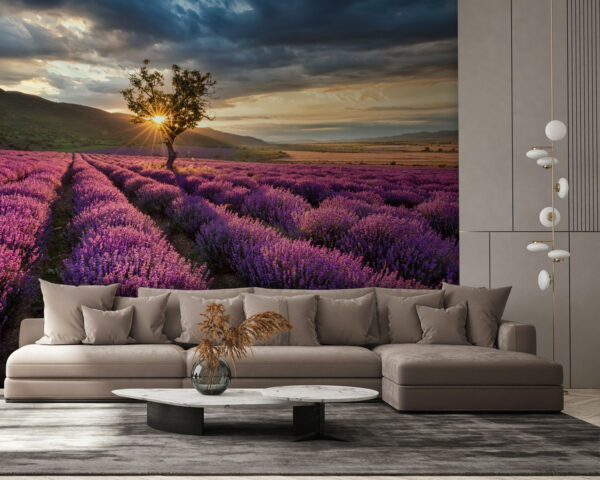 Tree in a field of lavender Tree in a field of lavender