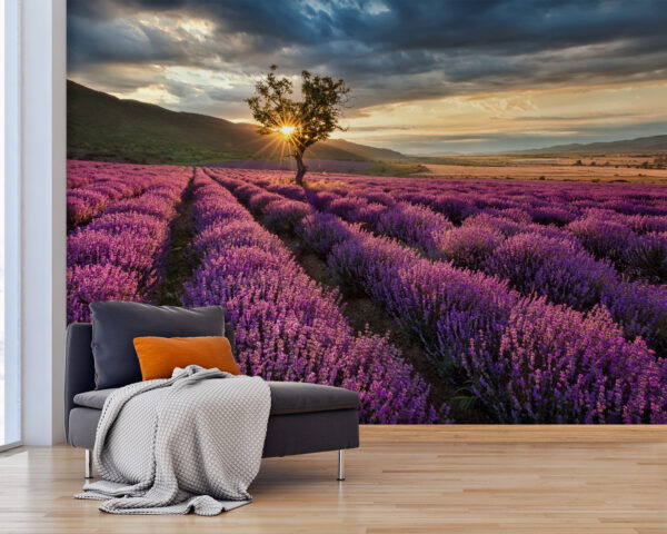 Tree in a field of lavender Tree in a field of lavender