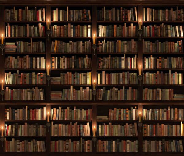Large bookcase full of books Large bookcase full of books