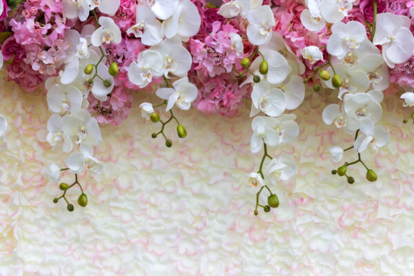 Group of white and pink flowers Group of white and pink flowers