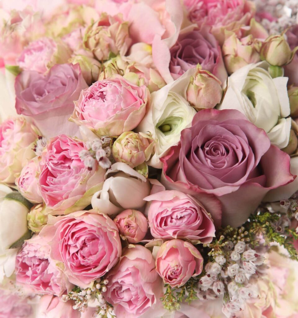 Bouquet of pink and white roses u55951p 960x1024 - Bouquet of pink and white roses - tegory