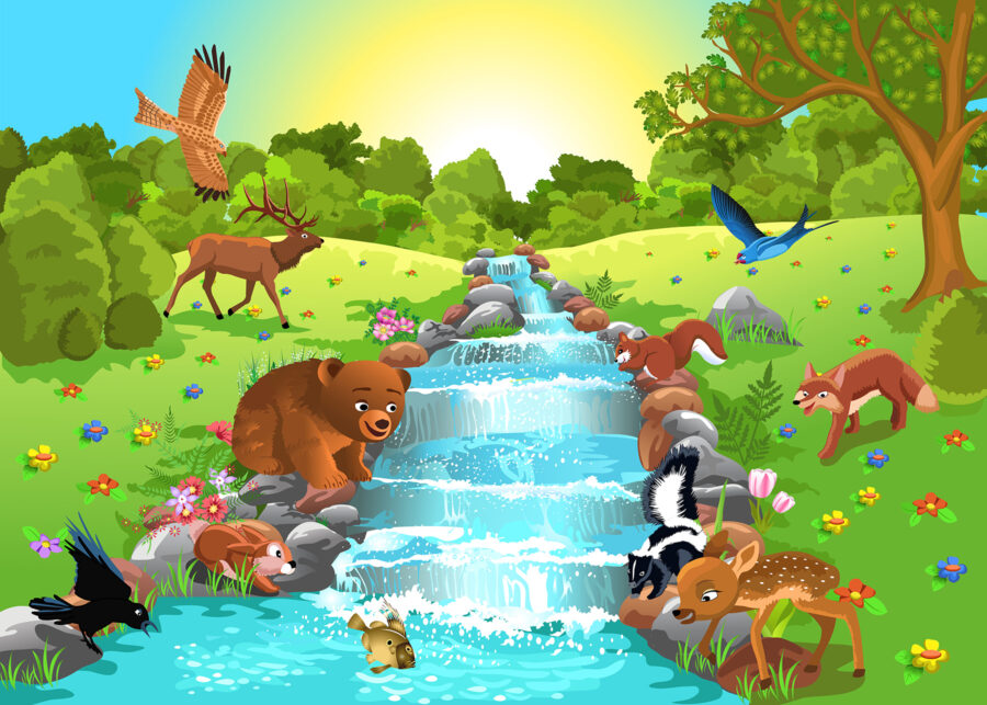 u55792p 900x643 - Cartoon of animals in a stream - tegory