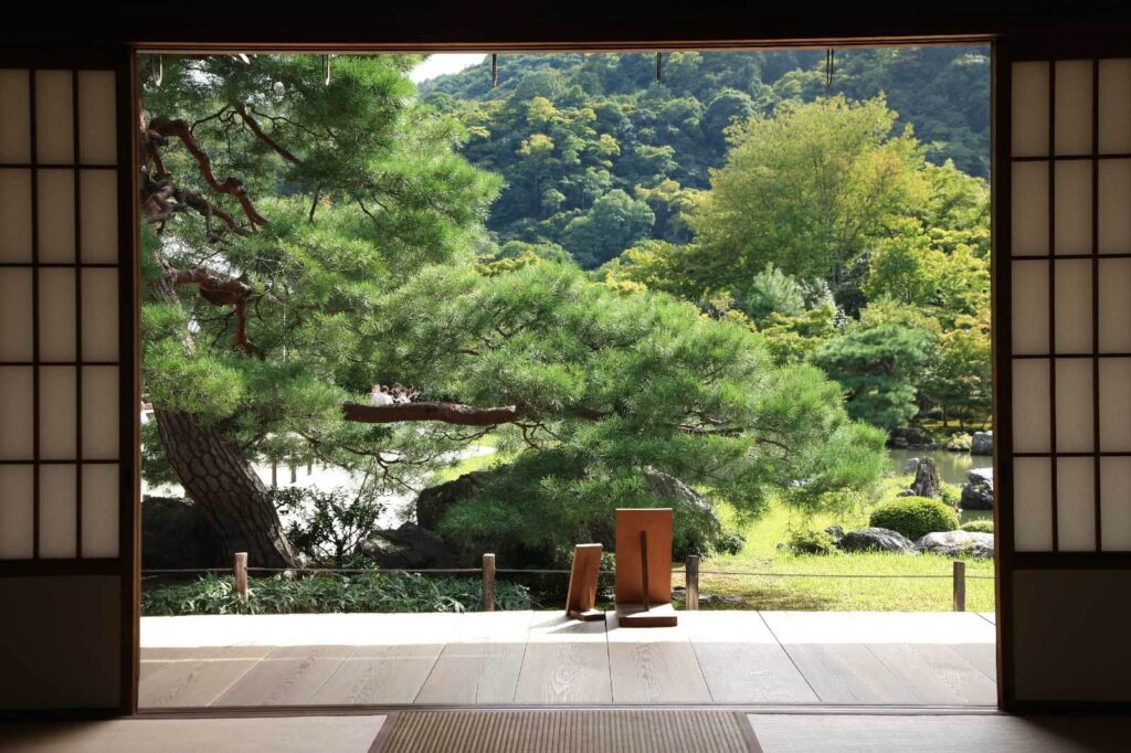 View of a forest from a room u55780p 1024x682 - View of a forest from a room - tegory