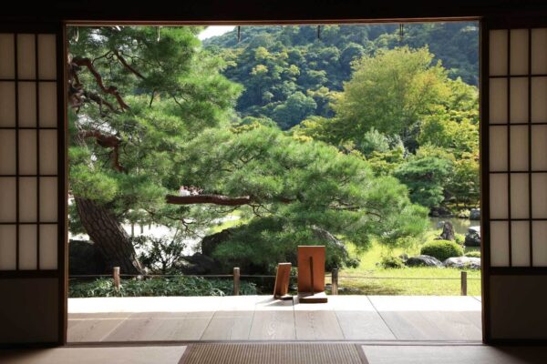 View of a forest from a room u55780p 600x400 - View of a forest from a room - tegory