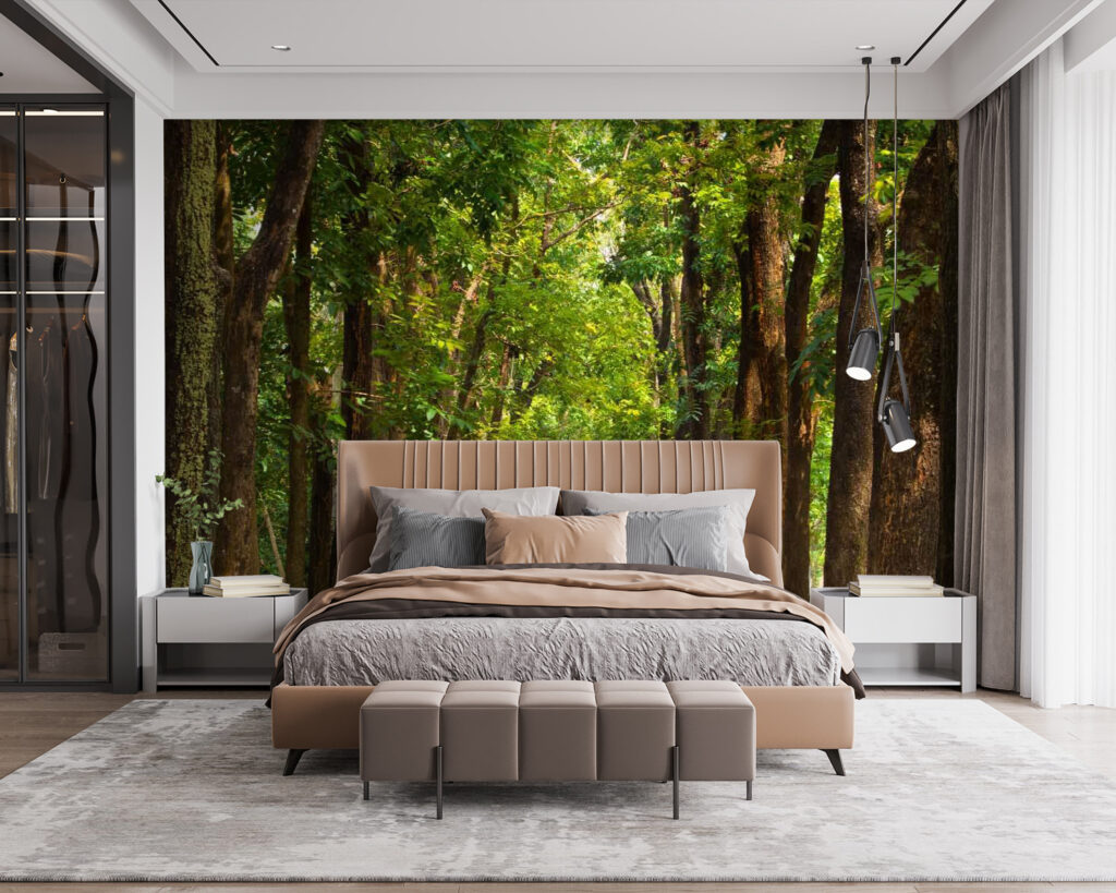 u55418pib115 1024x819 - Path with trees on the side - tegory