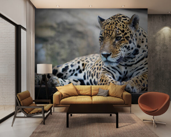 Leopard lying on a wood surface u55313pig28m 600x480 - Leopard lying on a wood surface - tegory
