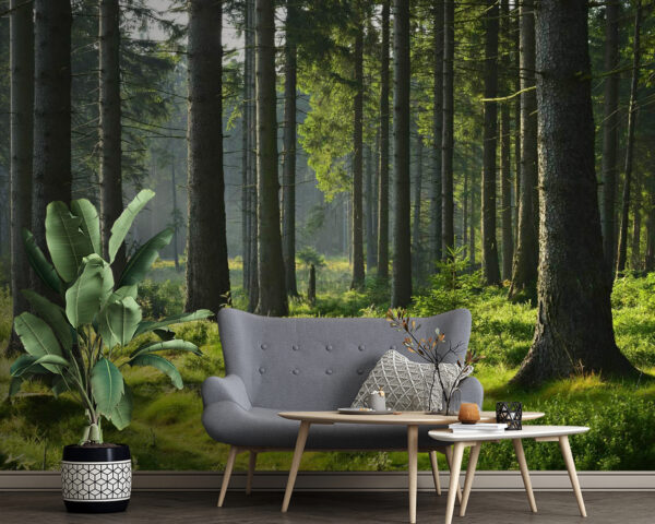 Forest with tall trees and grass u55302pig4 600x480 - Forest with tall trees and grass - tegory