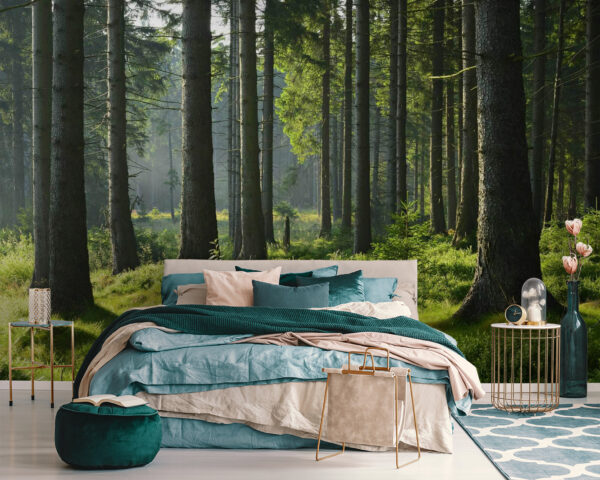 Forest with tall trees and grass u55302pib111 600x480 - Forest with tall trees and grass - tegory