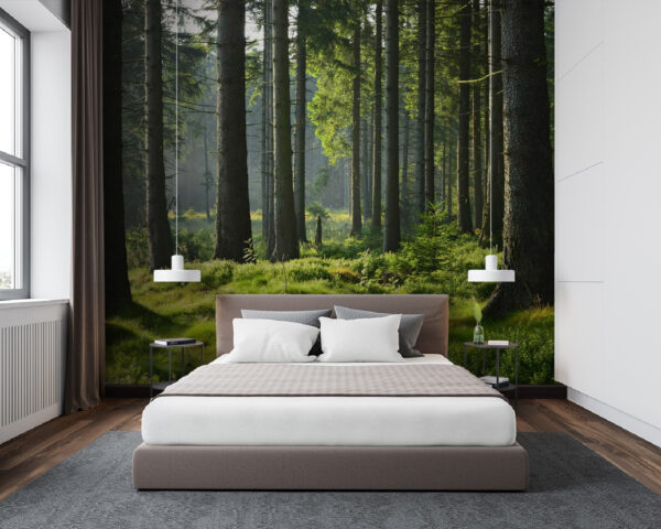 Forest with tall trees and grass u55302pib94m 600x480 - Forest with tall trees and grass - tegory