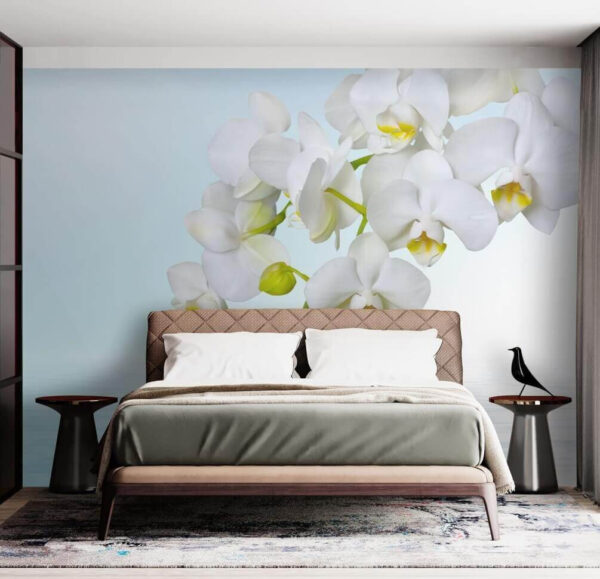 White orchids over water u54982pib2 600x579 - White orchids over water - tegory