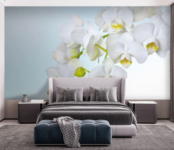 White orchids over water u54982pib1m 600x519 - White orchids over water - tegory