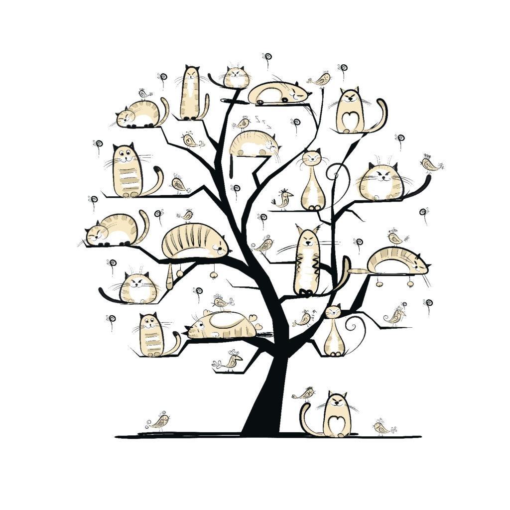 u54856p 1024x1024 - Tree with cats on it - tegory