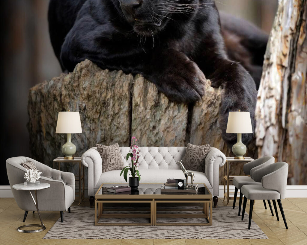 Black panther lying on a tree stump u54741pig43m 1024x819 - Black panther lying on a tree stump - tegory