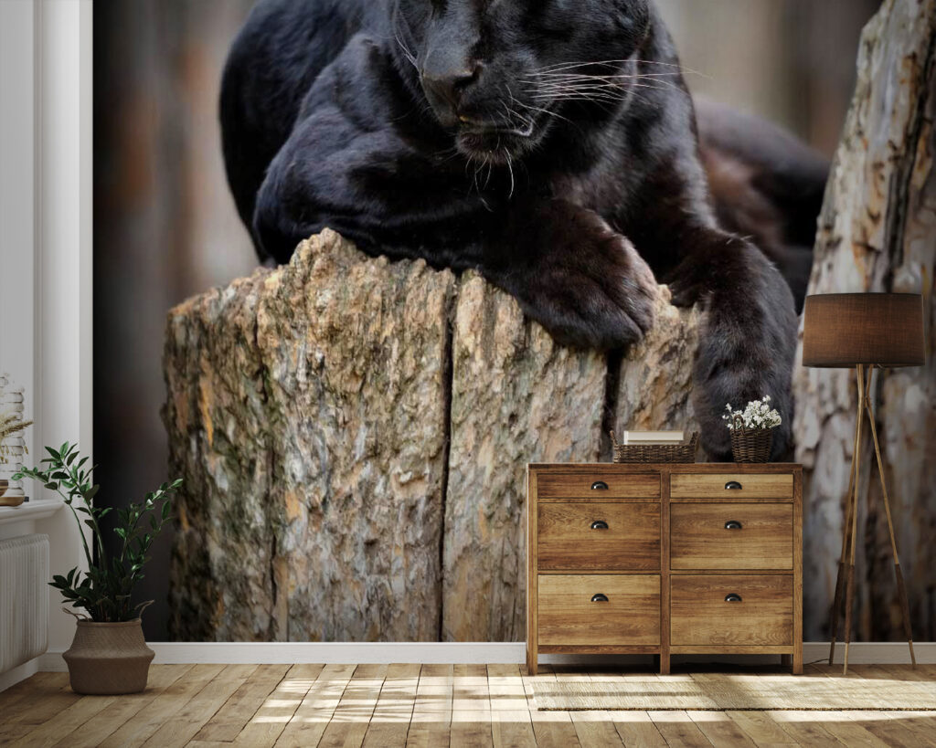 Black panther lying on a tree stump u54741pig41 1024x819 - Black panther lying on a tree stump - tegory