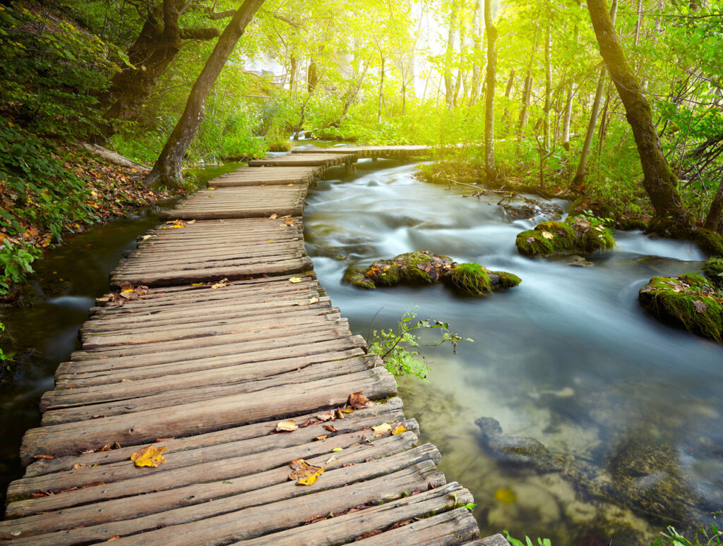 Wooden bridge over a river Wooden bridge over a river