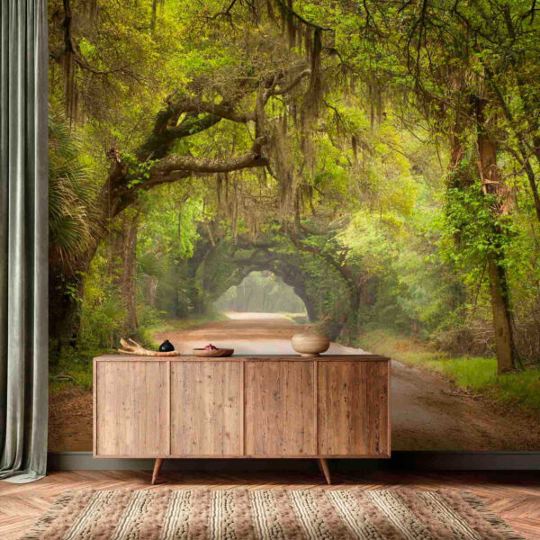 Dirt road with trees and mossy branches u54614pih1 600x600 - Dirt road with trees and mossy branches - tegory