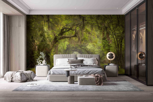 Dirt road with trees and mossy branches u54614pib1m 600x400 - Dirt road with trees and mossy branches - tegory