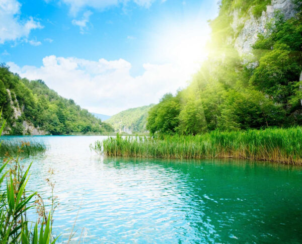 Body of water with grass and trees around it u54263p 600x485 - Body of water with grass and trees around it - tegory