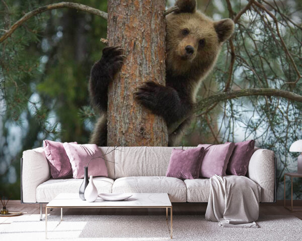 Bear climbing a tree Bear climbing a tree