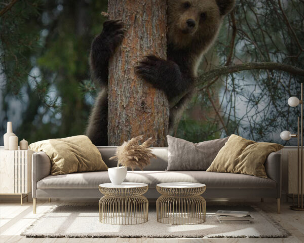 Bear climbing a tree Bear climbing a tree