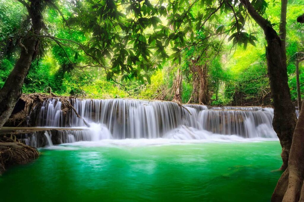 Waterfall in a forest u53889p 1024x682 - Waterfall in a forest - tegory