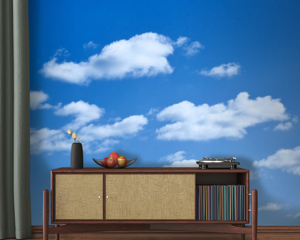 u53887pig20 1024x819 - Blue sky with clouds - tegory