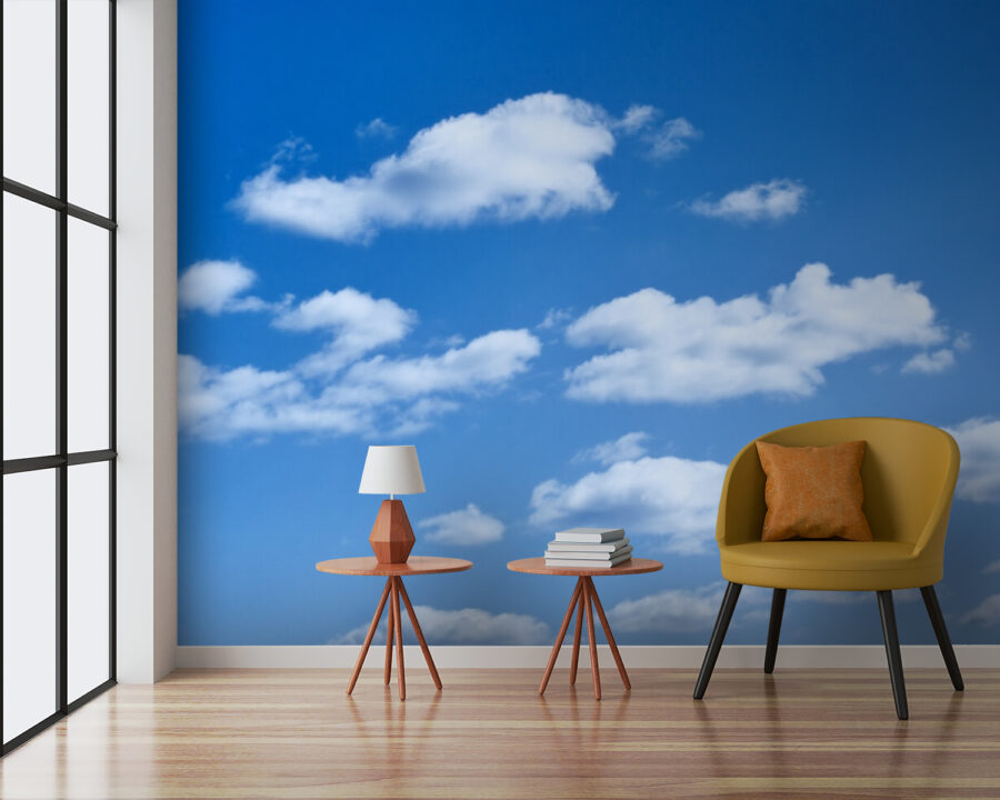 u53887pig3 900x720 - Blue sky with clouds - tegory