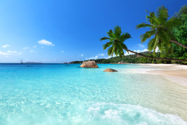 Beach with palm trees and blue water Beach with palm trees and blue water