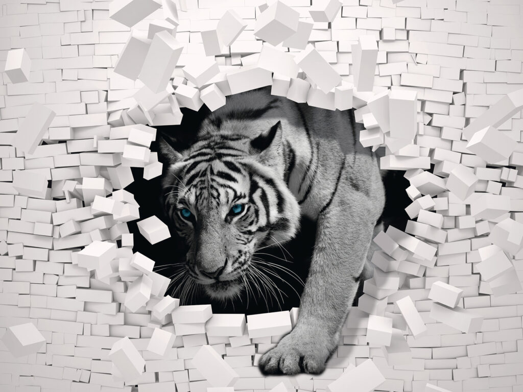 Tiger coming out of a wall Tiger coming out of a wall