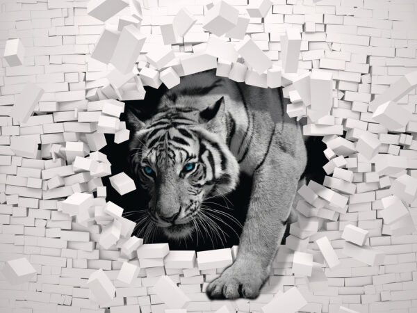 Tiger coming out of a wall Tiger coming out of a wall