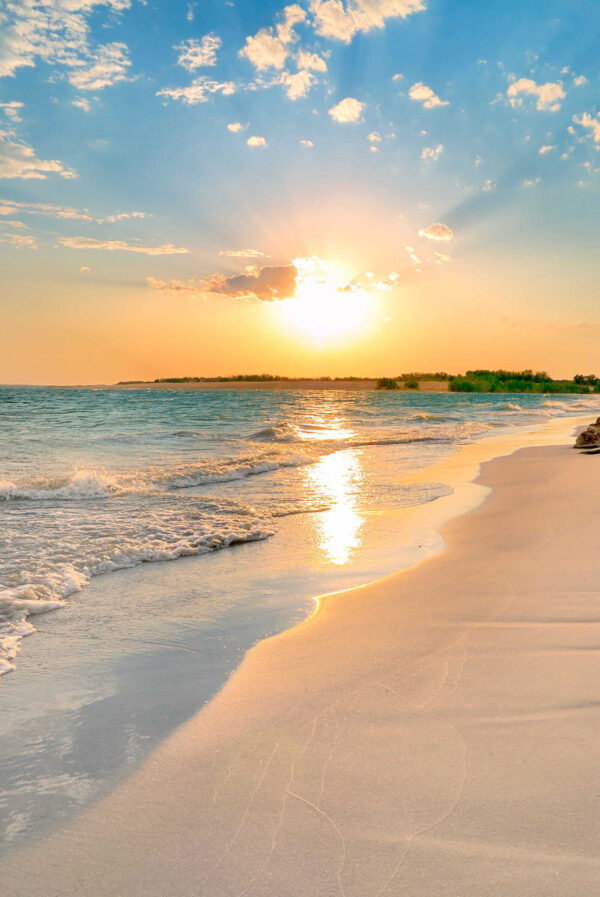 Beach with waves and a sunset u53408p 600x897 - Beach with waves and a sunset