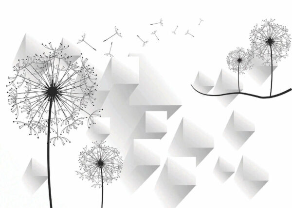 Dandelion flowers and a white background u53047p 600x429 - Dandelion flowers and a white background - tegory