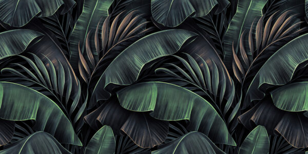 Group of green leaves Group of green leaves