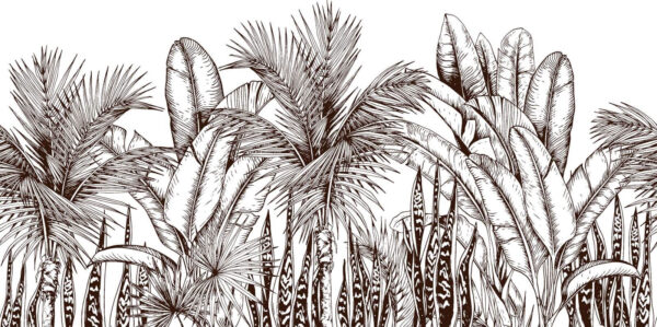 Group of palm trees u51098p 600x299 - Group of palm trees - tegory