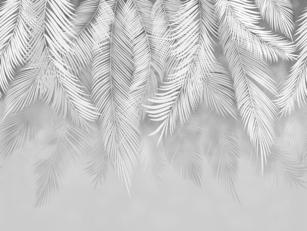 White leaves on a gray background White leaves on a gray background