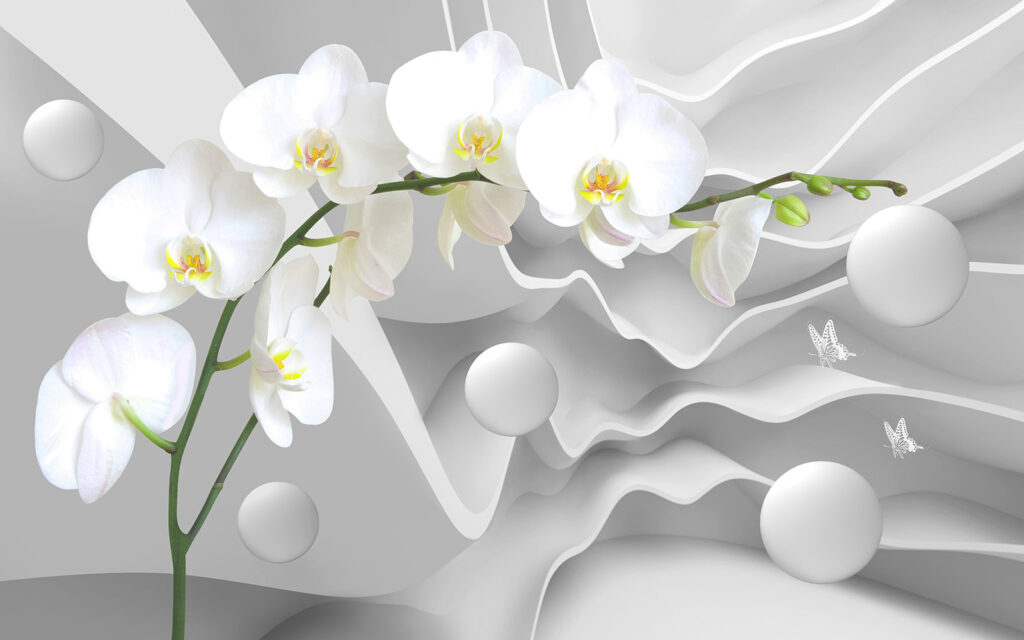 White orchids and white balls White orchids and white balls