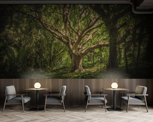 Large tree in a forest u47613piz137m 600x480 - Large tree in a forest - tegory