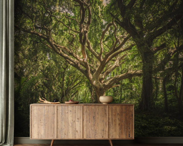 Large tree in a forest u47613pig21 600x480 - Large tree in a forest - tegory