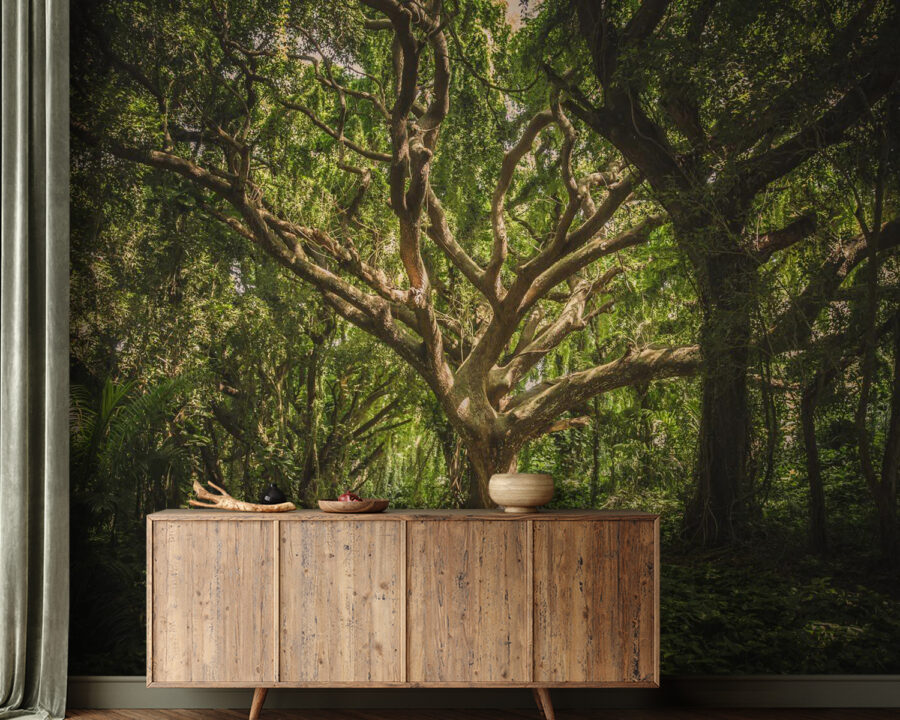 Large tree in a forest u47613pig21 900x720 - Large tree in a forest - tegory