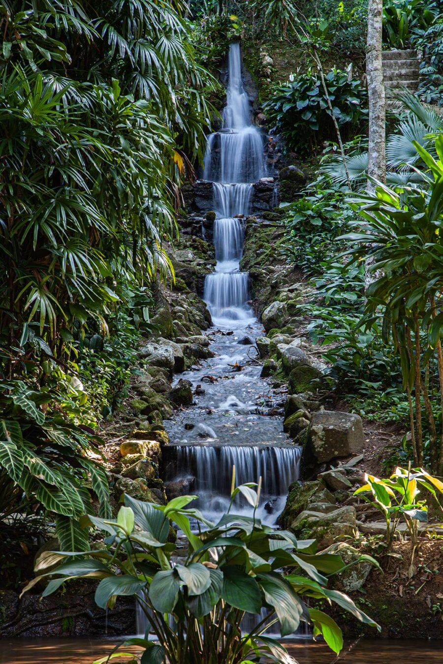 Waterfall in a jungle