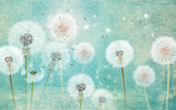 Group of dandelions in the air Group of dandelions in the air
