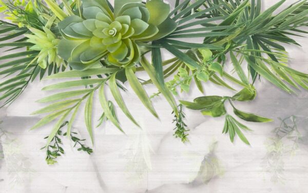 Green plant with leaves Green plant with leaves
