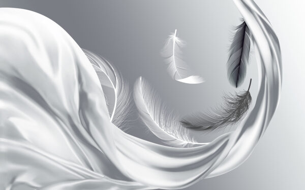 White feathers flying in the air White feathers flying in the air