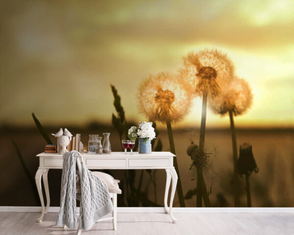 Dandelions basking in warm light u38934pig5m 600x480 - Dandelions basking in warm light - tegory
